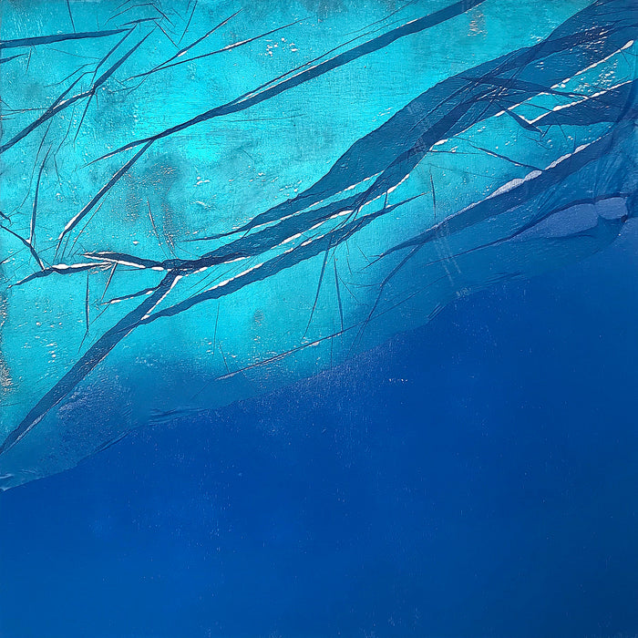Blue vs Blue M5, 2023
