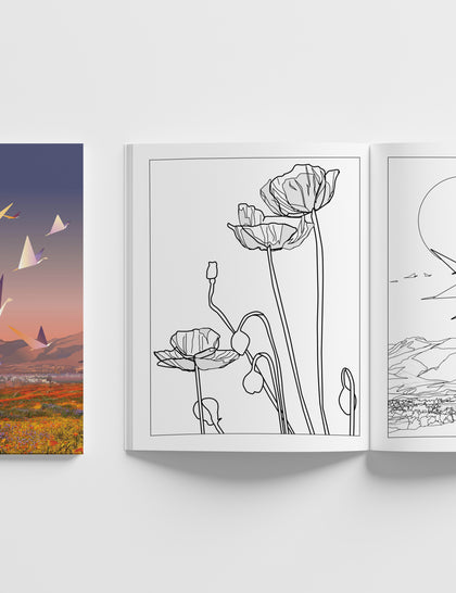 Cheryl Molnar High Desert Coloring Book